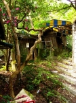 R tree side 2